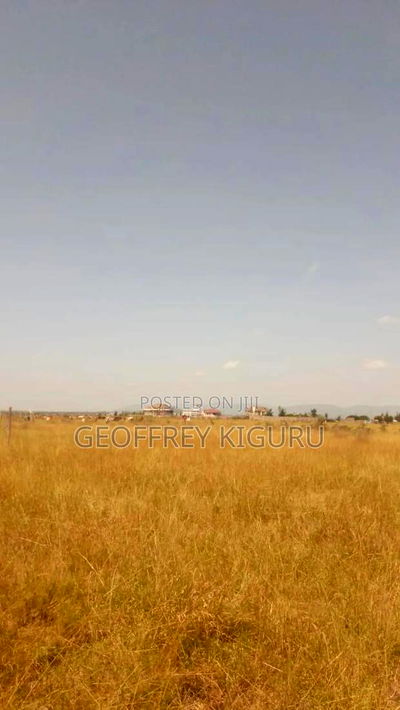 Affordable Quarter Acre Plots for Sale - Image 1