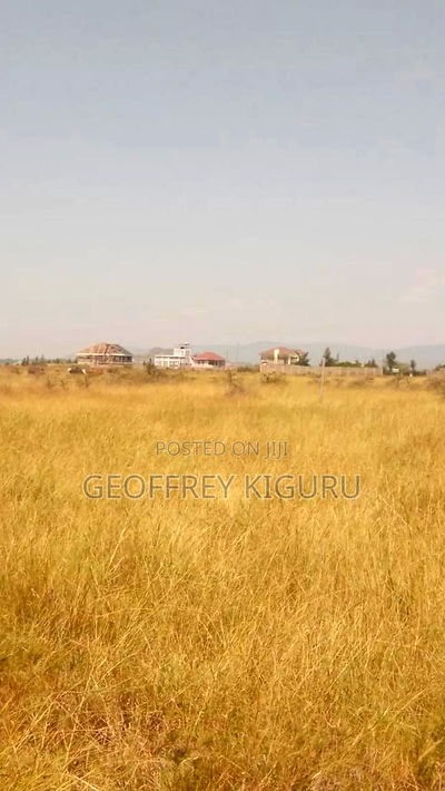 Affordable Quarter Acre Plots for Sale - Image 4