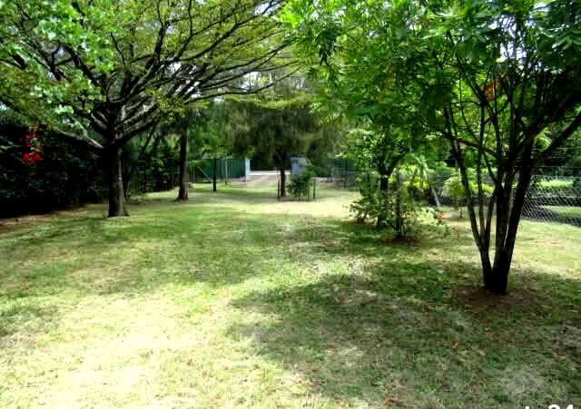 0.5-Acre Plot in Karen at KSh 35M