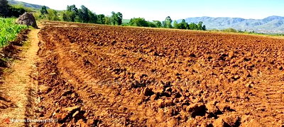 1,500 Acres for Sale in Narok - Clean Title Deed at - Image 1