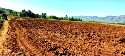 1,500 Acres for Sale in Narok - Clean Title Deed at - Image 2