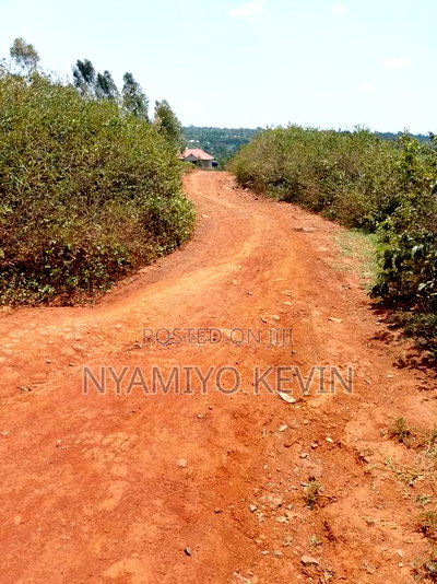 Alego Near Mugane School - Image 1