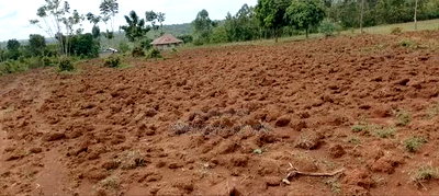 Alego Near Mugane School - Image 3