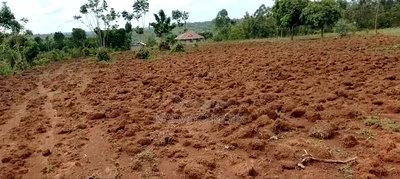 Alego Near Mugane School - Image 2