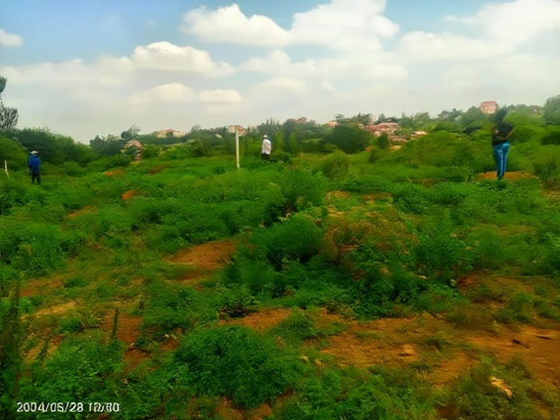 Ruiru Toll