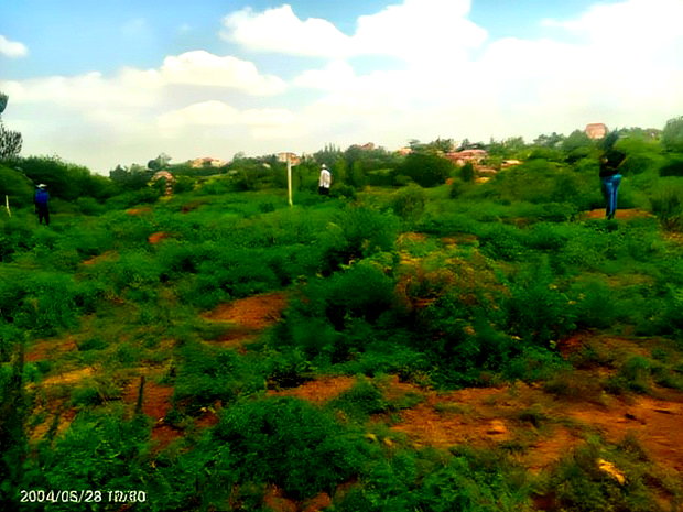 Ruiru Toll