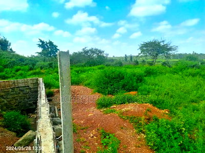 Ruiru Toll - Image 6
