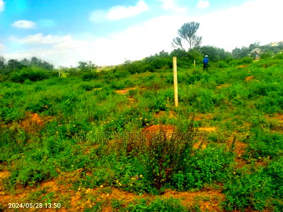 Ruiru Toll - Image 9