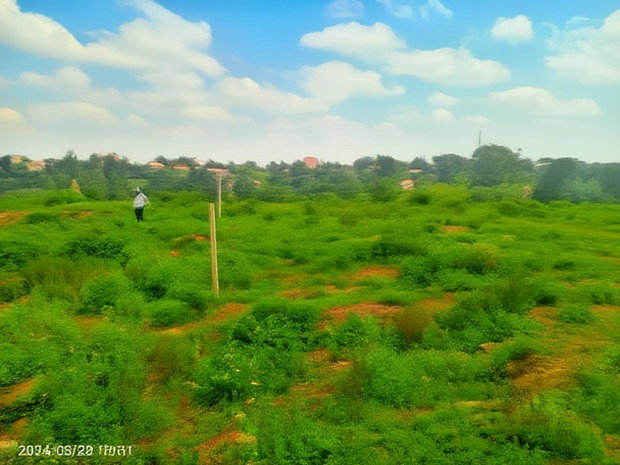 Ruiru Toll