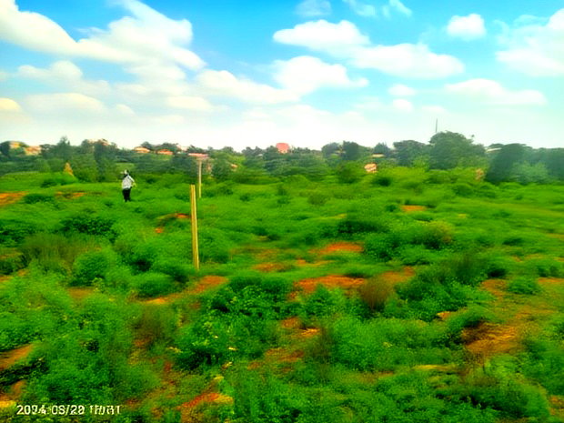 Ruiru Toll