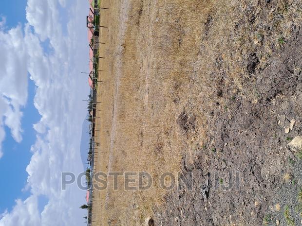 Kantafu 50 by 100 Plots,