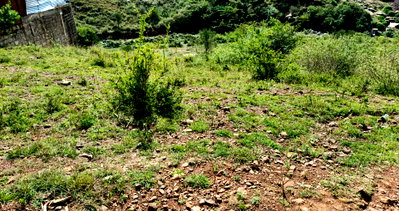 KSh 4M Plot in Utawala