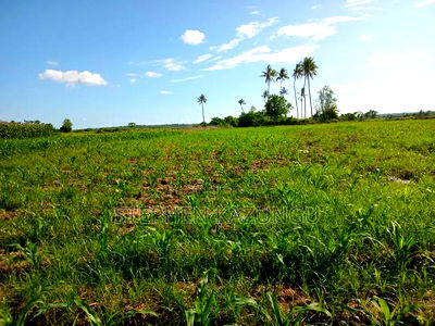 Treasure of 21 Acres of Land on Sale in Malindi at Singwaya. - Image 6