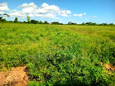 Treasure of 21 Acres of Land on Sale in Malindi at Singwaya. - Image 11