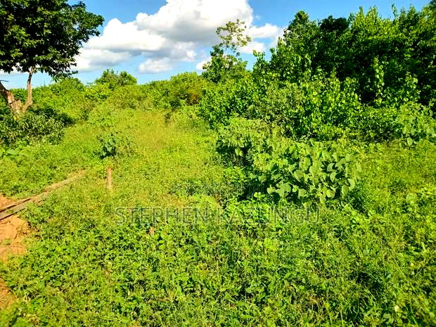 Treasure of 21 Acres of Land on Sale in Malindi at Singwaya.