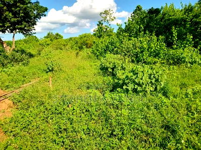 Treasure of 21 Acres of Land on Sale in Malindi at Singwaya. - Image 1