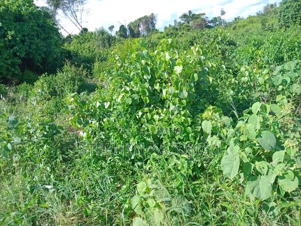Treasure of 21 Acres of Land on Sale in Malindi at Singwaya.
