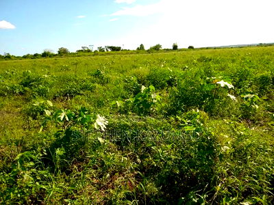 Treasure of 21 Acres of Land on Sale in Malindi at Singwaya. - Image 10