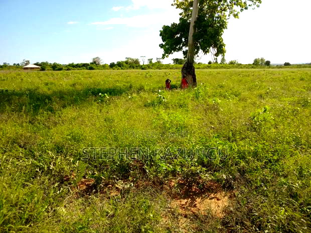 Treasure of 21 Acres of Land on Sale in Malindi at Singwaya.