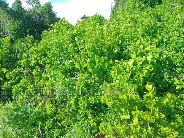 Treasure of 21 Acres of Land on Sale in Malindi at Singwaya.