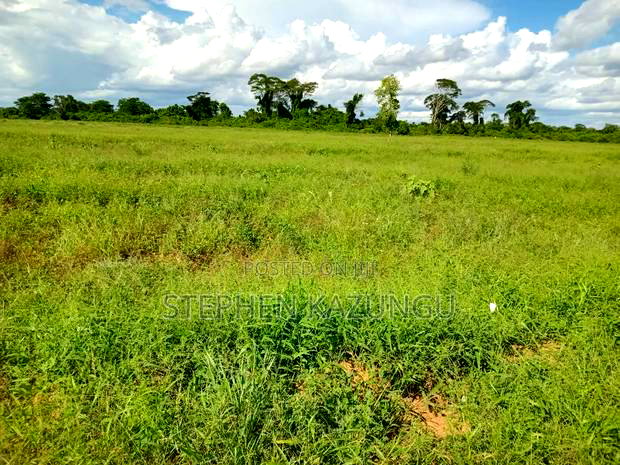 Treasure of 21 Acres of Land on Sale in Malindi at Singwaya.