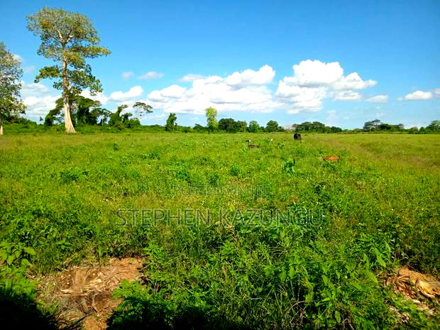 Treasure of 21 Acres of Land on Sale in Malindi at Singwaya.