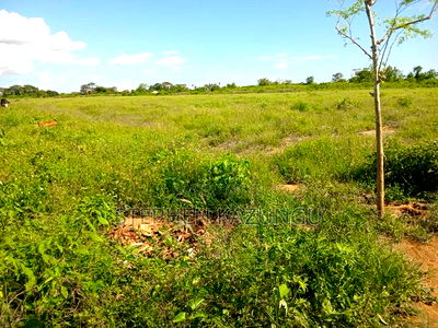 Treasure of 21 Acres of Land on Sale in Malindi at Singwaya. - Image 13