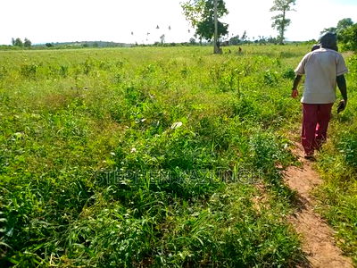 Treasure of 21 Acres of Land on Sale in Malindi at Singwaya. - Image 9