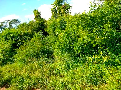 Treasure of 21 Acres of Land on Sale in Malindi at Singwaya. - Image 14