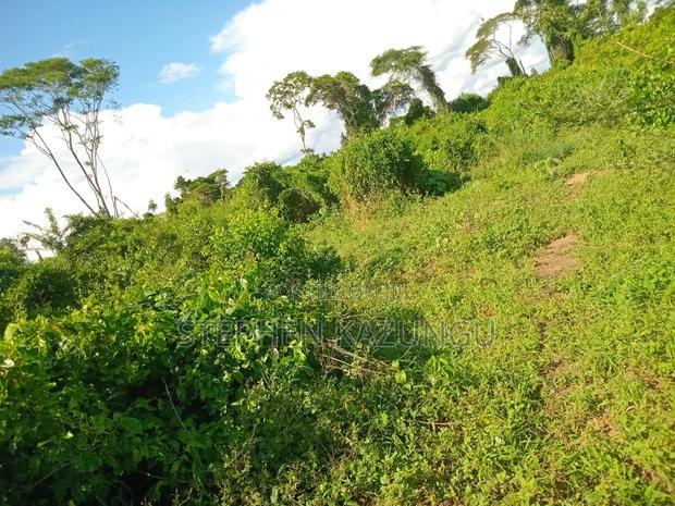 Treasure of 21 Acres of Land on Sale in Malindi at Singwaya.