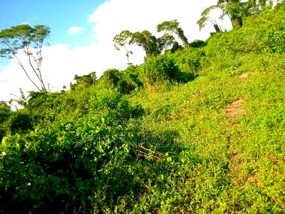 Treasure of 21 Acres of Land on Sale in Malindi at Singwaya. - Image 12