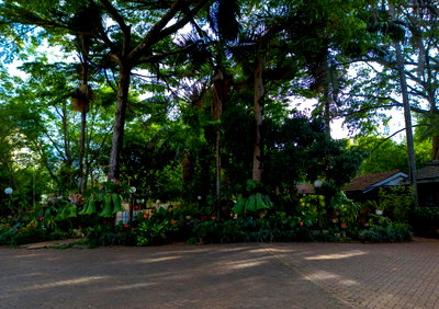 Half Acre Westlands Plot with Garden
