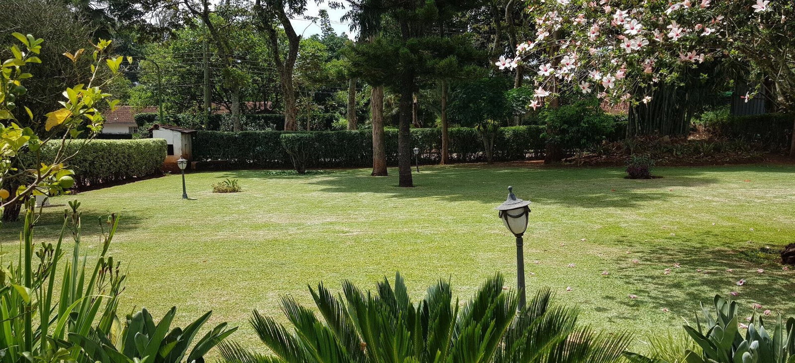Half Acre Garden Home for KSh 380K