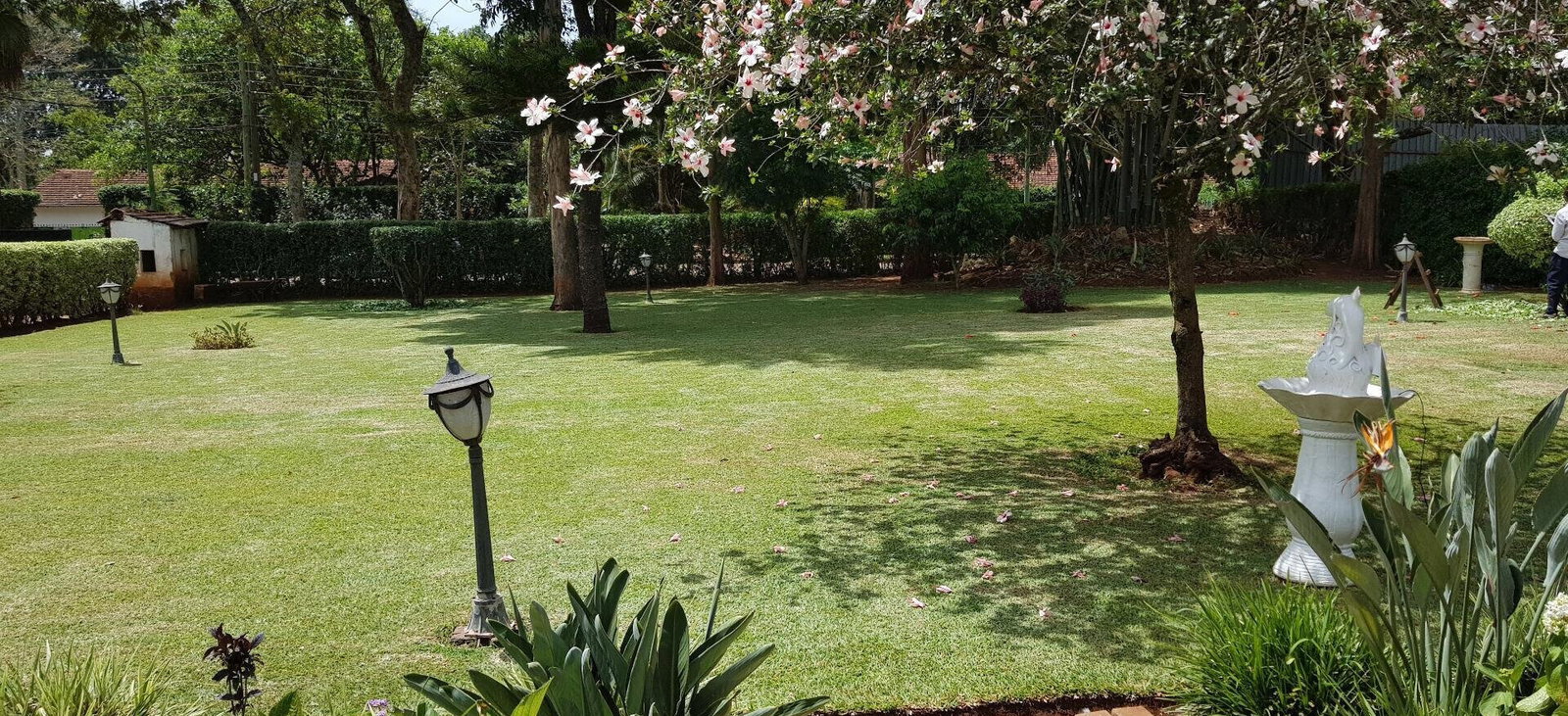 Half Acre Garden Home for KSh 380K