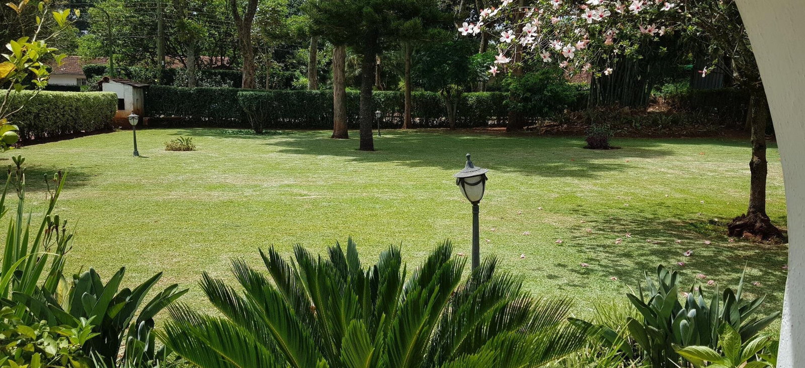 Half Acre Garden Home for KSh 380K