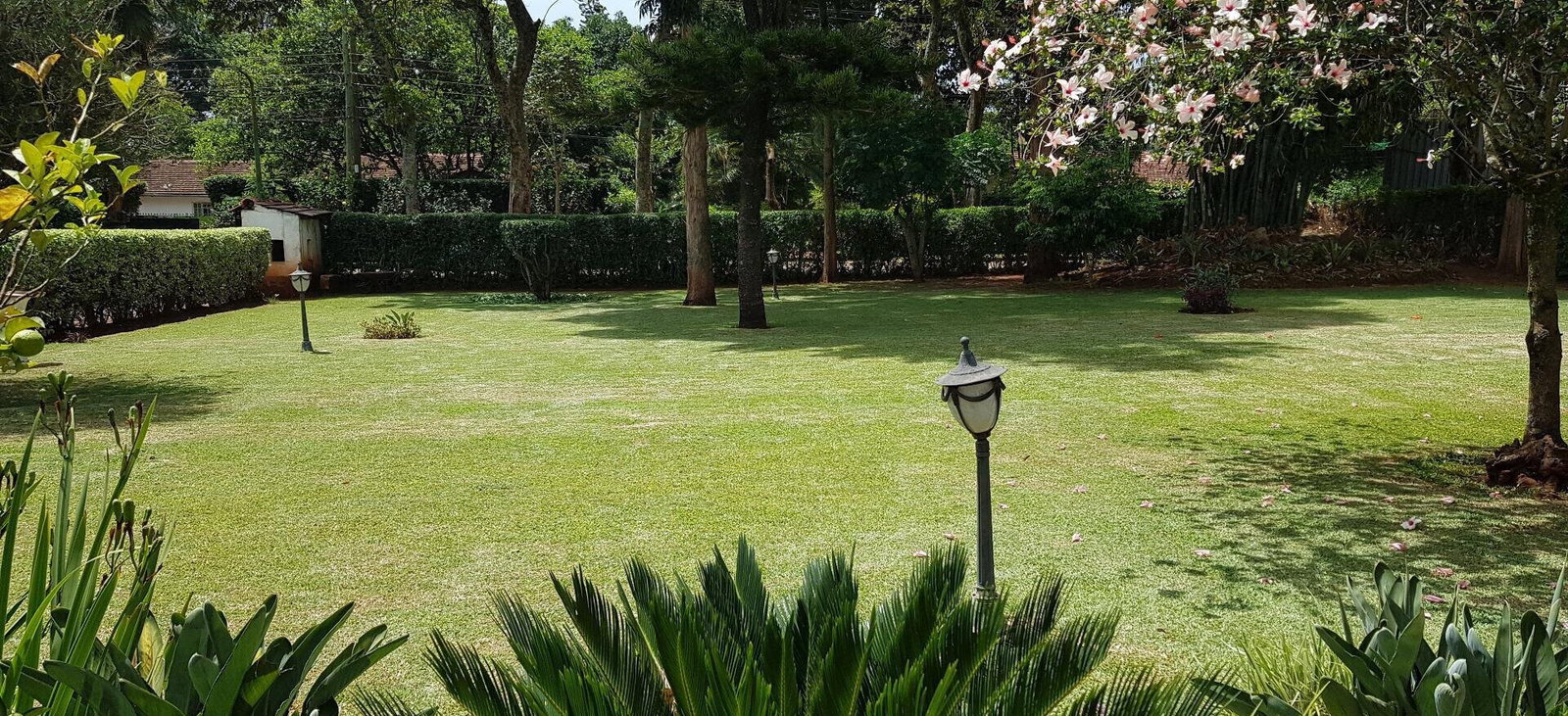 Half Acre Garden Home for KSh 380K