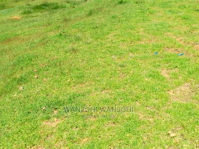 Prime Plots at the Heart of Nyandarua County - Image 9