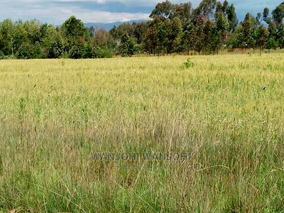 Prime Plots at the Heart of Nyandarua County - Image 6