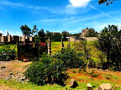 Prime Residential Plot for Sale in Kikuyu ,Gikambura. - Image 3