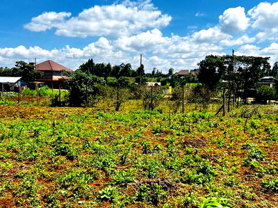 Prime Residential Plot for Sale in Kikuyu ,Gikambura. - Image 14