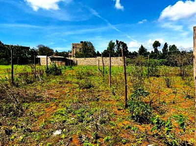 Prime Residential Plot for Sale in Kikuyu ,Gikambura. - Image 10