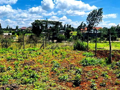 Prime Residential Plot for Sale in Kikuyu ,Gikambura. - Image 18