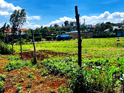Prime Residential Plot for Sale in Kikuyu ,Gikambura. - Image 8