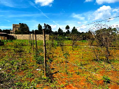 Prime Residential Plot for Sale in Kikuyu ,Gikambura. - Image 15