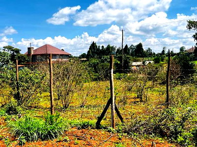 Prime Residential Plot for Sale in Kikuyu ,Gikambura. - Image 17