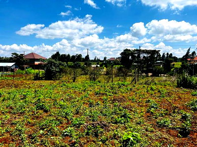 Prime Residential Plot for Sale in Kikuyu ,Gikambura. - Image 12