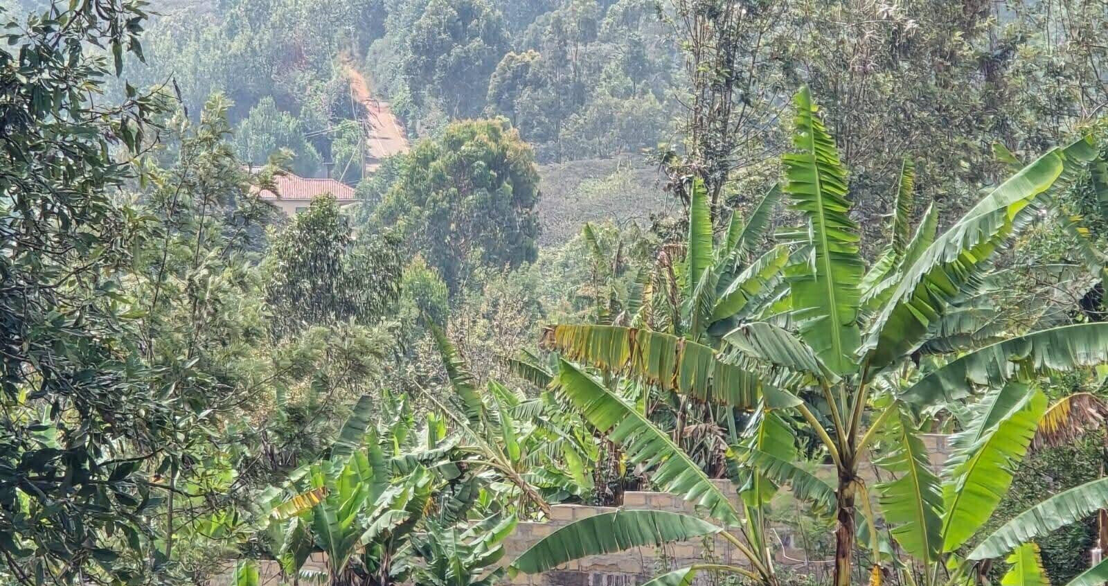 KSh 14M Garden Plot