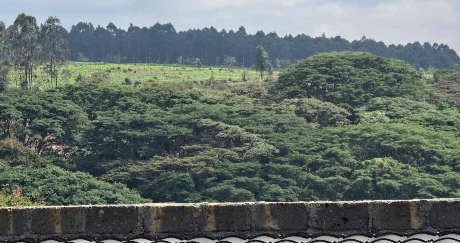 KSh 14M Garden Plot