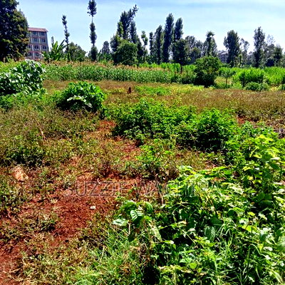 40*90ft Plots Within Kenol Town for Sale in Muranga County - Image 7