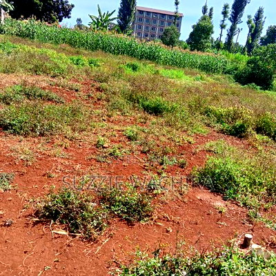 40*90ft Plots Within Kenol Town for Sale in Muranga County - Image 2